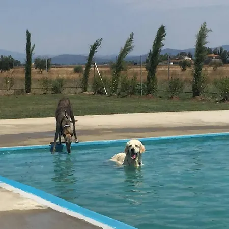 Fattoria Maremmana Apartahotel Marina di Grosseto